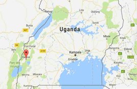 Uganda news, Uganda army, Uganda fighting, Uganda army Rebels, Uganda latest news