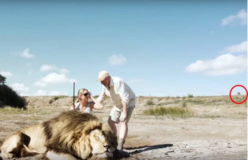 शिकार के बाद मरे हुए शेर के साथ पोज देते शिकारी। (Photo Source: Youtube)