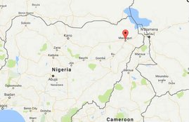 Nigerian bus station, Nigeria Blast, Nigeria Suicide bomber, Nigeria News, Nigeria Latest news, Nigeria Maiduguri
