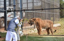 PM Narendra Modi, Narendra Modi, Chhattisgarh, Photography, wildlife photography, Jungle Safari, Nandan Van, twitter, twitter Reaction