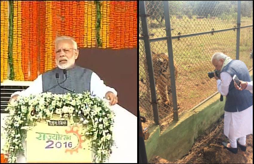छत्तीसगढ़ के एक दिवसीय दौरे पर पीएम मोदी, नया रायपुर में किया जंगल सफारी का लोकार्पण, खींची बाघ की तस्वीरें