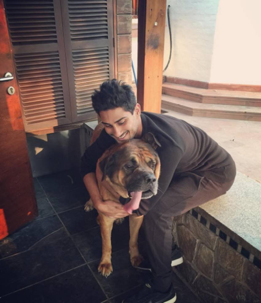 Prateik Babbar, Prateik Babbar Birthday, Prateik Babbar Date of Birth, Prateik Babbar Age, Prateik Babbar Facts, Prateik Babbar Interesting Facts, Prateik Babbar Unknown Facts, Prateik Babbar Story, Prateik Babbar Photos, Prateik Babbar Cool Pics, Prateik Babbar Pictures, Prateik Babbar HD Photos, Prateik Babbar Birthday Story, Prateik Babbar Movies List