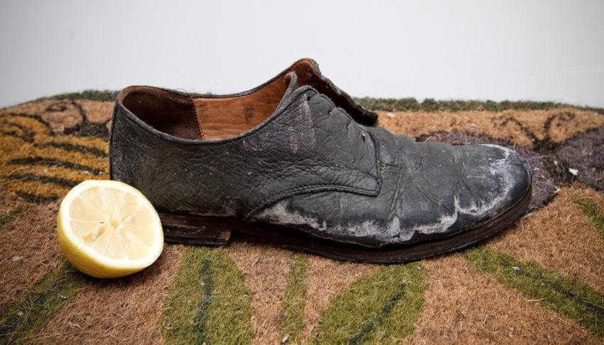 Lemon, Use Of Lemon, Alternative Use of Lemon, Lemon juice, Lemon Use, shoe polish, colouring hair, lemon uses for hair, lemon uses for Cooking, lemon uses for Dish Washer, lemon uses for teeth