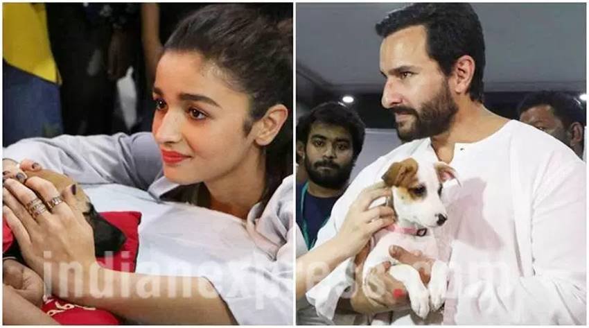 Alia Bhatt, Alia Bhatt with Puppy, Alia Bhatt with pet, Saif Ali Khan, Saif Ali Khan with puppy, Saif Ali Khan with pet, Alia Bhatt pics, Alia Bhatt images, Alia Bhatt movies, Alia Bhatt news, Alia Bhatt photos, Alia Bhatt Dear Zindagi, Dear Zindagi Photos, Dear Zindagi Story, Saif Ali Khan, Saif Ali Khan pics, Saif Ali Khan images, alia pics, alia images, entertainment news in hindi, bollywood news in hindi