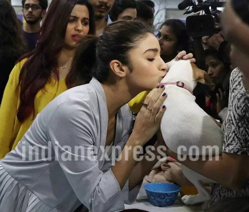Alia Bhatt, Alia Bhatt with Puppy, Alia Bhatt with pet, Saif Ali Khan, Saif Ali Khan with puppy, Saif Ali Khan with pet, Alia Bhatt pics, Alia Bhatt images, Alia Bhatt movies, Alia Bhatt news, Alia Bhatt photos, Alia Bhatt Dear Zindagi, Dear Zindagi Photos, Dear Zindagi Story, Saif Ali Khan, Saif Ali Khan pics, Saif Ali Khan images, alia pics, alia images, entertainment news in hindi, bollywood news in hindi