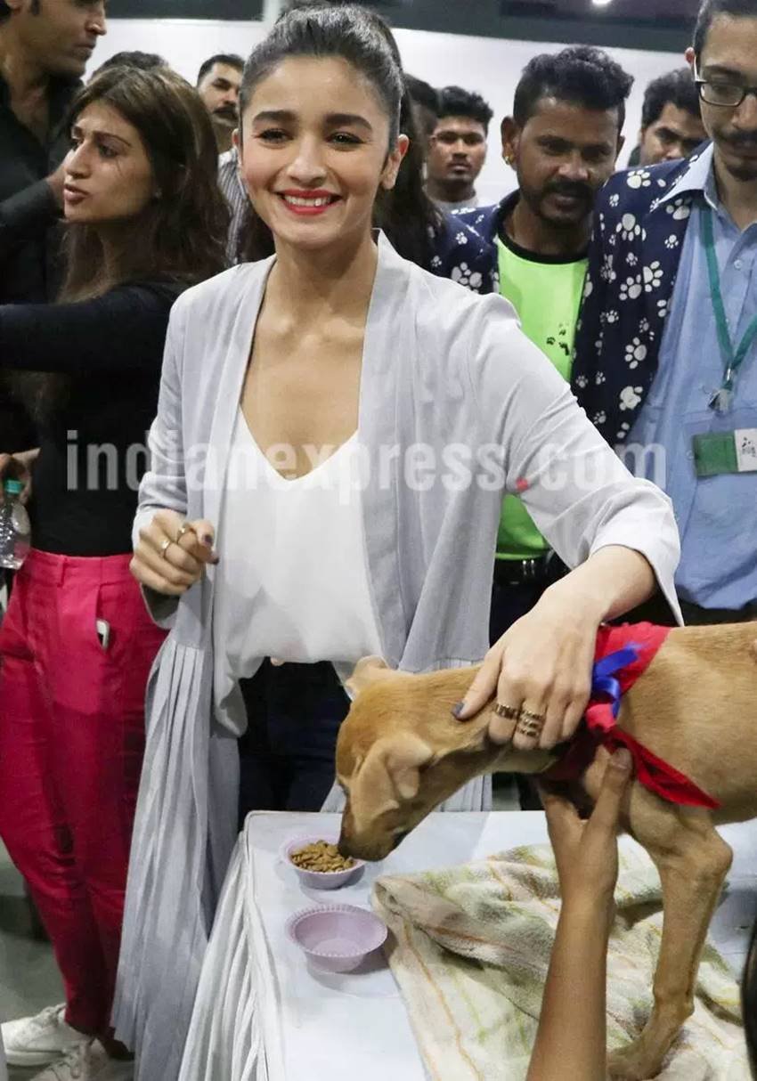 Alia Bhatt, Alia Bhatt with Puppy, Alia Bhatt with pet, Saif Ali Khan, Saif Ali Khan with puppy, Saif Ali Khan with pet, Alia Bhatt pics, Alia Bhatt images, Alia Bhatt movies, Alia Bhatt news, Alia Bhatt photos, Alia Bhatt Dear Zindagi, Dear Zindagi Photos, Dear Zindagi Story, Saif Ali Khan, Saif Ali Khan pics, Saif Ali Khan images, alia pics, alia images, entertainment news in hindi, bollywood news in hindi