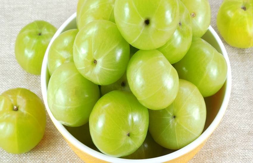 Indian Gooseberry, benefits of Indian Gooseberry, amla, benefits of amla, amla benefits for health, amla for eyes, amla Ke fayde, health tips, health news