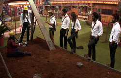 बिग बॉस के घर में चोरी करते पकड़े गए मनु और लोपा, रोहन की अलर्टनेस की वजह से खुली पोल