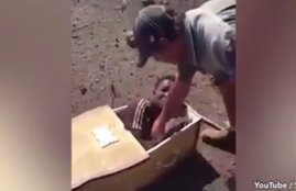 South Africa, land owner, coffin