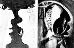 कहानी: कोयल