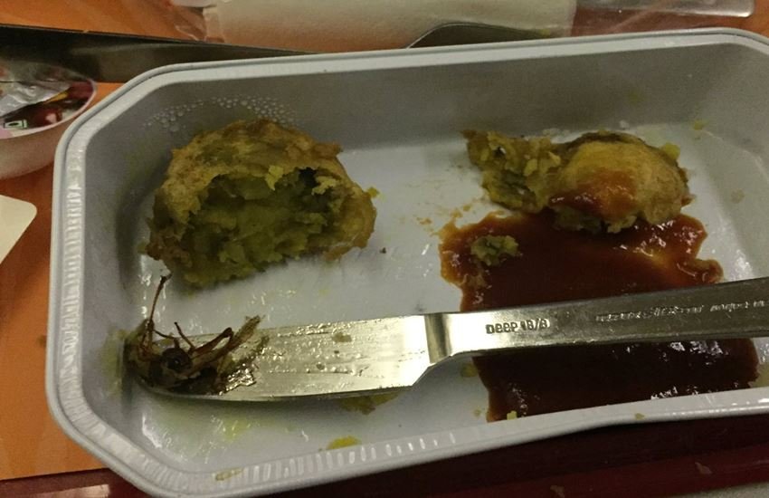 Cockroach found in meal served on AI flight, Cockroach in meal, Cockroach, Air India, Air India flight