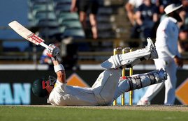 david warner, dale steyn, perth test, australia south africa test, australia cricket, cricket news