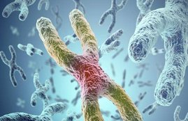 gene therapy, cancer, american university