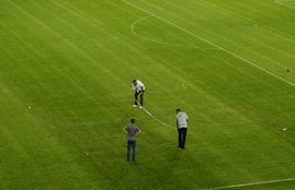 green grass, grass, grass benefits, benefits of grass, walk on grass, morning walk on green grass, green grass for health, health news, health tips
