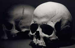 बिहार: मेडिकल कॉलेज में बेचे जा रहे मानव कंकाल, 8000 रुपए है एक कंकाल की कीमत