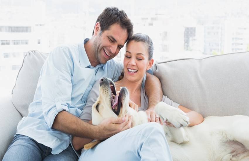 lie in relationship, boyfriend lie tips, relationship tips in hindi, girlfirend tips in hindi, girlfriend tips, girlfriend lie tips in hindi, girlfriend lie tips, girfriend boyfriend tips, boyfriend girlfriend lie tips, best lie tips in hindi lie in relationship, boyfriend lie tips, relationship tips in hindi, girlfirend tips in hindi, girlfriend tips, girlfriend lie tips in hindi, girlfriend lie tips, girfriend boyfriend tips, boyfriend girlfriend lie tips, best lie tips in hindi