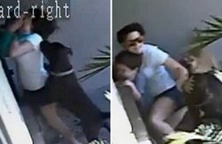 VIDEO: 2 साल के लाडले को नोंच रहे थे खूंखार कुत्ते, जान बचाने के लिए बेटे के ऊपर लेट गई मां