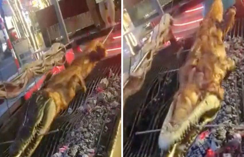 Crocodile, food, Thailand, metal poles, grilled snake, roast crocodile, leather