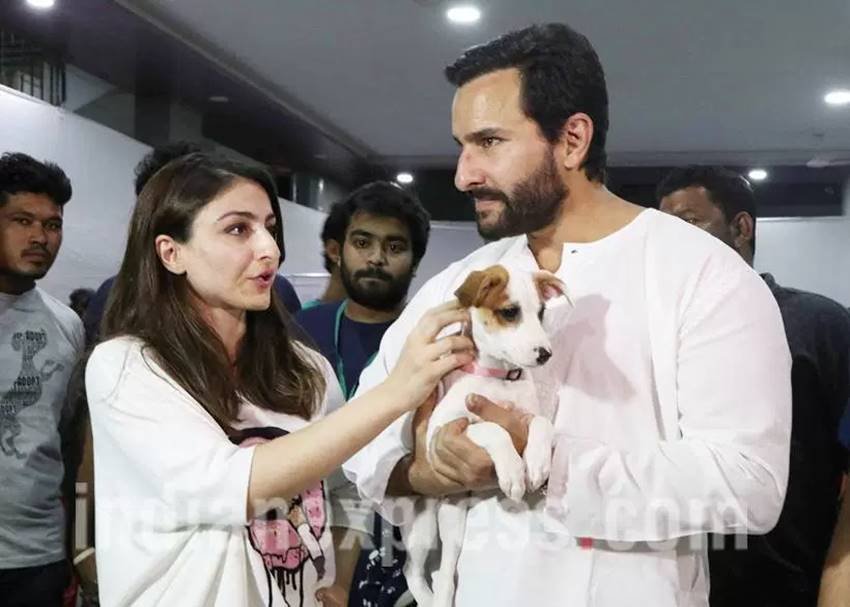 Alia Bhatt, Alia Bhatt with Puppy, Alia Bhatt with pet, Saif Ali Khan, Saif Ali Khan with puppy, Saif Ali Khan with pet, Alia Bhatt pics, Alia Bhatt images, Alia Bhatt movies, Alia Bhatt news, Alia Bhatt photos, Alia Bhatt Dear Zindagi, Dear Zindagi Photos, Dear Zindagi Story, Saif Ali Khan, Saif Ali Khan pics, Saif Ali Khan images, alia pics, alia images, entertainment news in hindi, bollywood news in hindi