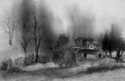 कहानी: पत्ता टूटा डाल से