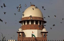 Tushar Gandhi, Mahatma Gandhi, Mahatma Gandhi Murder Case, Supreme Court, Resumption of Mahatma Gandhi Murder, Tushar Gandhi Reached Supreme Court, Tushar Gandhi Protest of Resumption of Mahatma Gandhi Murder, National News