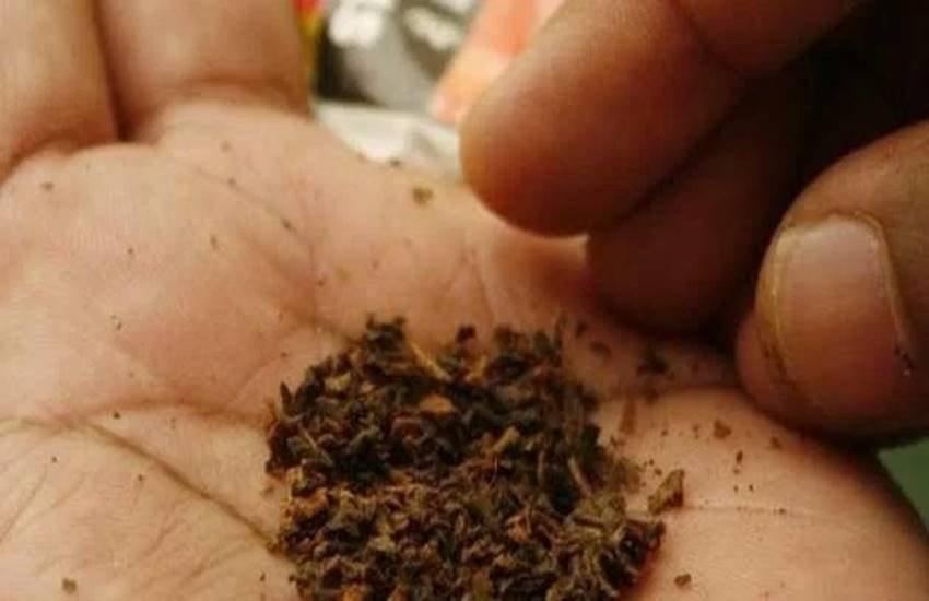 भारत में 7 करोड़ महिलाएं भूख दबाने के लिए चबाती हैं तंबाकू