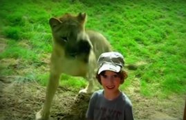 trending youtube video, cute kid videos, cute baby videos, cute animals with kids videos, animals with kids, kids in zoo videos, viral, trending globally, viral videos