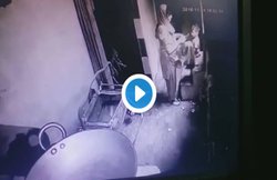 18 महीने के बच्चे को मां ने इतनी बेरहमी से पीटा, वीडियो देख बोलीं स्वाति मालीवाल- ऐसे तो मैं जानवर को भी नहीं पीट सकती