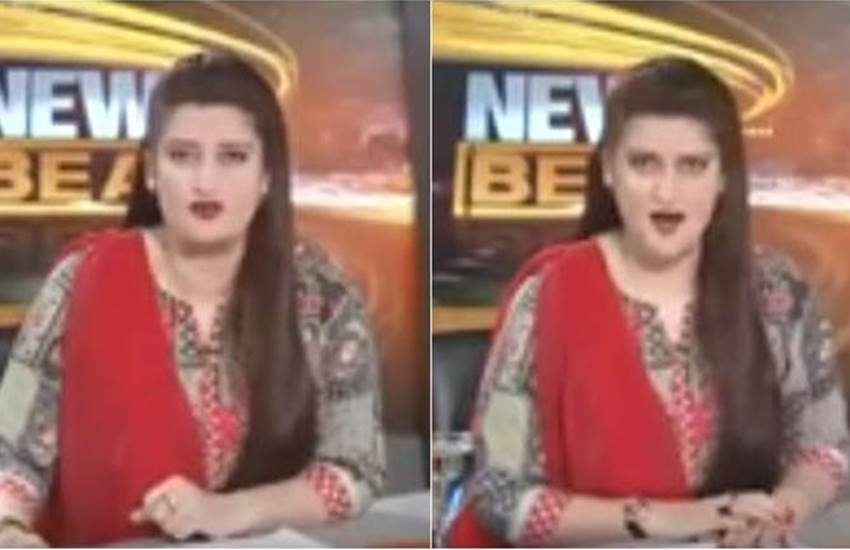 Pakistani anchor, pm modi, anchor warns modi, jansatta