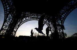 Eiffel Tower, Aleppo Eiffel Tower, Eiffel Tower turns off, Paris Eiffel Tower, Eiffel Tower lights, Eiffel Tower Aleppo