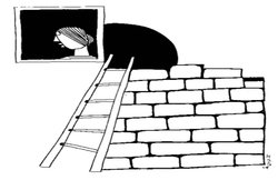 मुद्दा: कंक्रीट के जंगल में जानवर