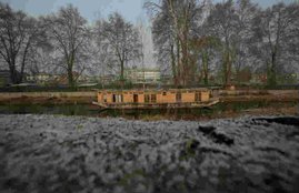 Shimla Snowfall, Shimla Rain, Snowfall Kashmir, Kashmir news, Kashmir latest news, Delhi Tempreture, Haryana Tempreture