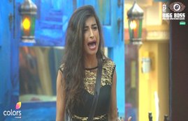 Bigg Boss season 10, Bigg Boss season 10 Full Episode, Bigg Boss season 10 11 December, Bigg Boss season 10 colors channel, Entertainment news, Entertainment news in hindi, Televiision news in hindi, tv news in hindi