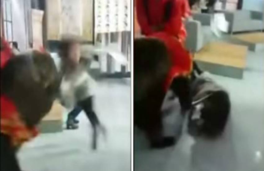 Bear, bear fighting, anchor, bear fight with woman