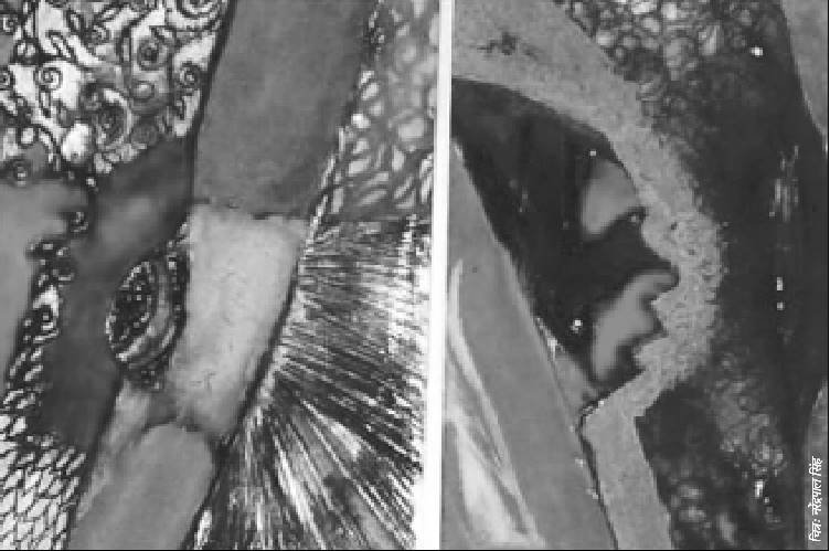 कहानीः पानी का कोई अधिकार नहीं होता