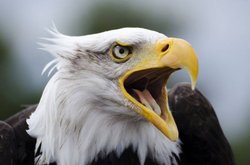 कहानीः सबक