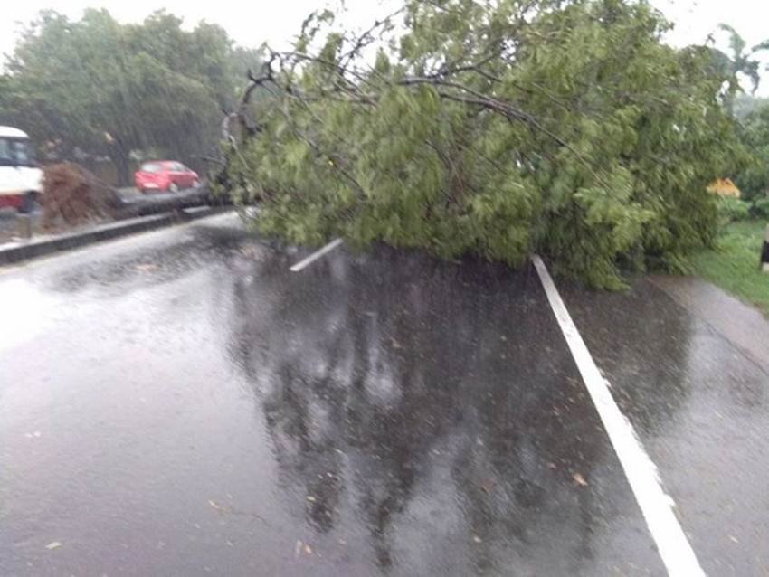 cyclone, cyclone vardah, cyclone vardah chennai, cyclone vardah chennai live, cyclone vardah live, cyclone vardah updates, cylcone vardah helpline, cyclone helpline numbers, cyclone vardah weather, weather updates cyclone, tamil nadu cyclone, chennai cyclone, andhra pradesh cyclone, south india cyclone, vardah live updates, vardah cyclone india, vardah expected time, cyclone expected time, chennai cyclone, chennai weather live, chennai weather, india news