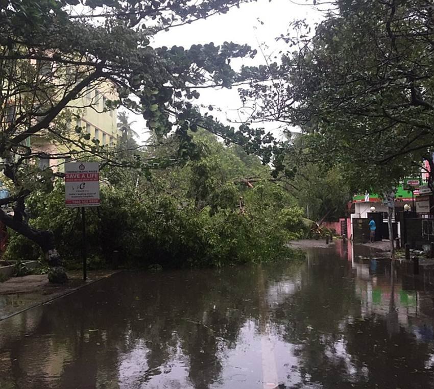 cyclone, cyclone vardah, cyclone vardah chennai, cyclone vardah chennai live, cyclone vardah live, cyclone vardah updates, cylcone vardah helpline, cyclone helpline numbers, cyclone vardah weather, weather updates cyclone, tamil nadu cyclone, chennai cyclone, andhra pradesh cyclone, south india cyclone, vardah live updates, vardah cyclone india, vardah expected time, cyclone expected time, chennai cyclone, chennai weather live, chennai weather, india news