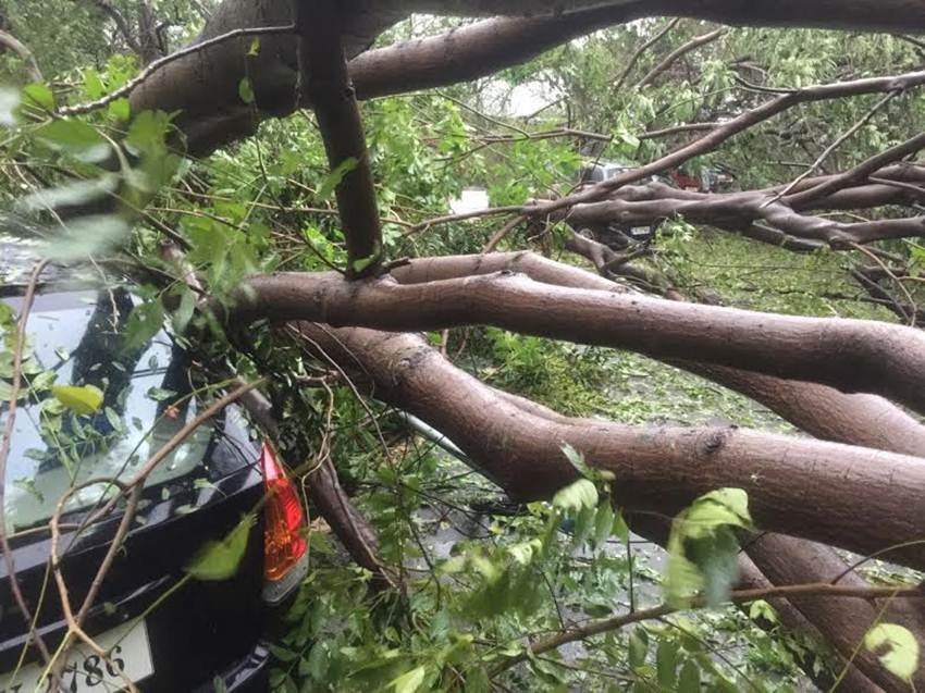 cyclone, cyclone vardah, cyclone vardah chennai, cyclone vardah chennai live, cyclone vardah live, cyclone vardah updates, cylcone vardah helpline, cyclone helpline numbers, cyclone vardah weather, weather updates cyclone, tamil nadu cyclone, chennai cyclone, andhra pradesh cyclone, south india cyclone, vardah live updates, vardah cyclone india, vardah expected time, cyclone expected time, chennai cyclone, chennai weather live, chennai weather, india news