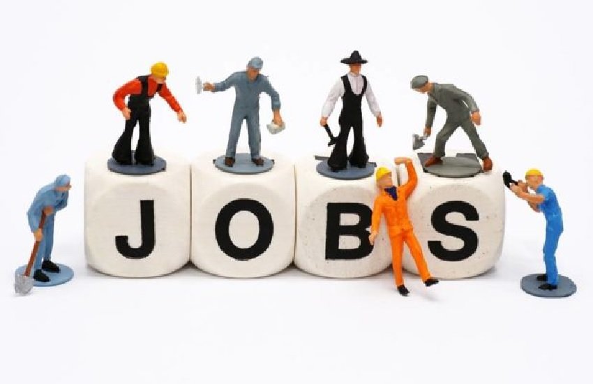 Uttar Pradesh recruitment, uttar pradesh, government jobs, sarkari naukri, jobs, jobs notification, latest jobs, latest jobs news, recruitment news, up jobs, jobs in bank, bank jobs