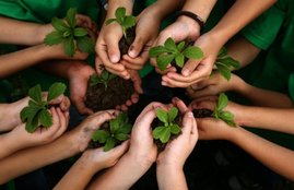 chattisgarh school, plant saplings, Shiksha Kuteer