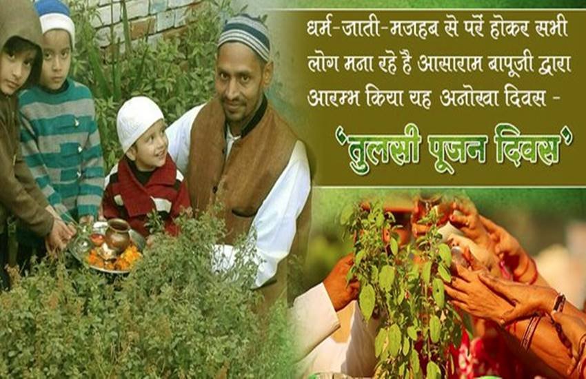 तुलसी पूजर दिवस।
