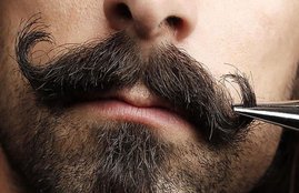 gujrat Dalit, twirling moustache, india news