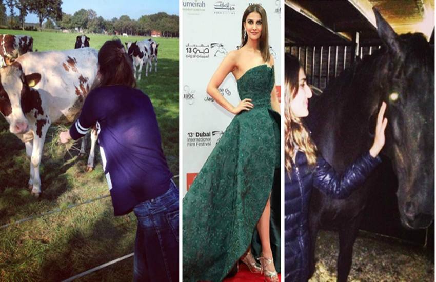 अभिनेत्री वानी कपूर