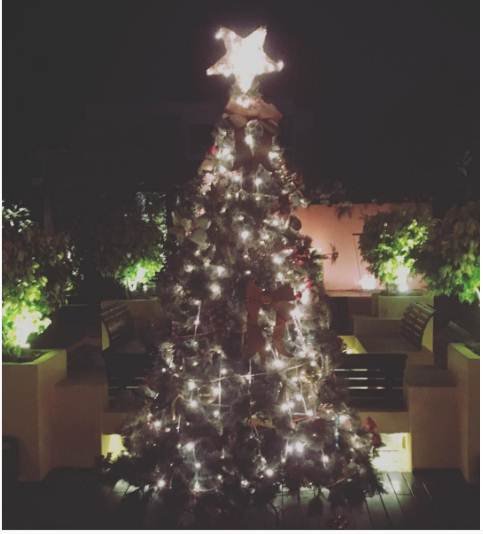 "kareena kapoor khan, kareena kapoor khan recent pic, kareena kapoor, kareena kapoor christmas, kareena kapoor christmas celebration, saif ali khan, kareena kapoor pre-christmas celebration pics, kareena kapoor baby bump, kareena, kareena malaika, entertainment news