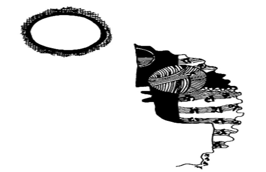 jansatta ravivariya news, jansatta ravivariya latest news, greenery and road