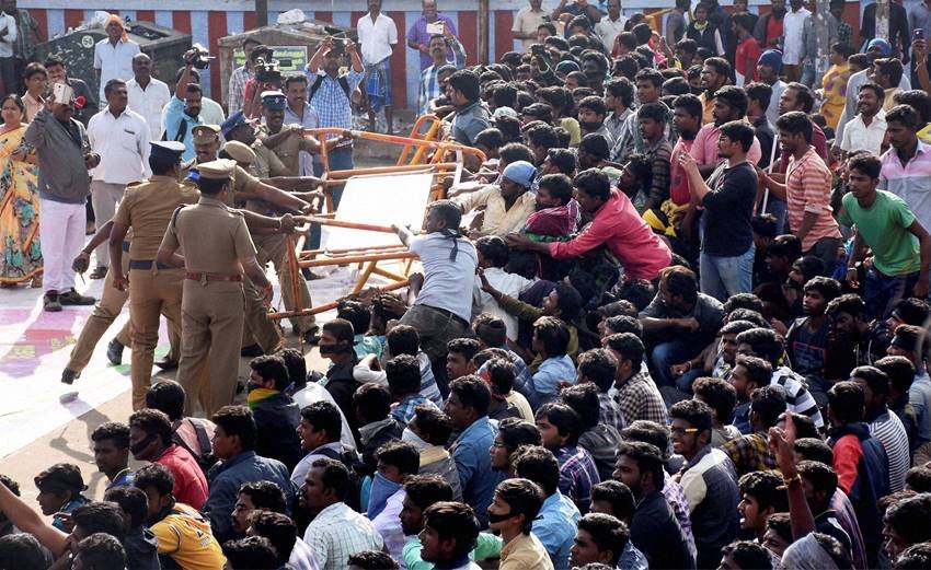 Jallikattu, Jallikattu Ban, Jallikattu Protest, Jallikattu tamilnadu, Jallikattu Protest Chennai, Jallikattu Violence, Tear gas, Police, Clash, Jallikattu Clashes, Jallikattu Unrest, India, Jansatta