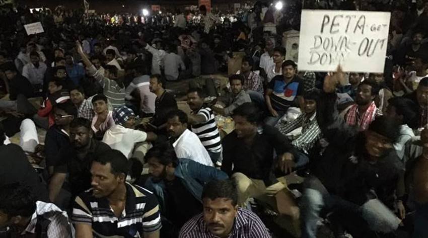 (Photo Source: Indian Express/Arun Janardhan)