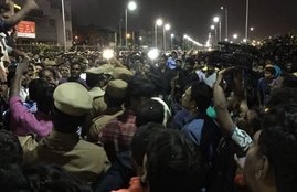 jallikattu, jallikattu protest, chennai jallikattu protests, marina beach jallikattu, marina beach protests, marina beach jallikattu protests, tamil nadu protests, jallikattu latest, bull sport protests, chennai news, india news, latest news