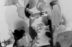 कविताएं : अघोषित